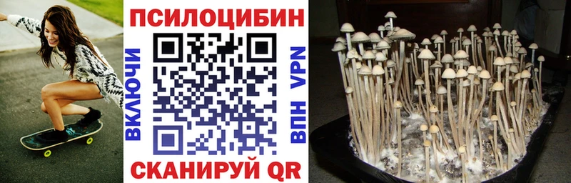 дарк нет Telegram  Комсомольск  Галлюциногенные грибы Magic Shrooms  наркота 